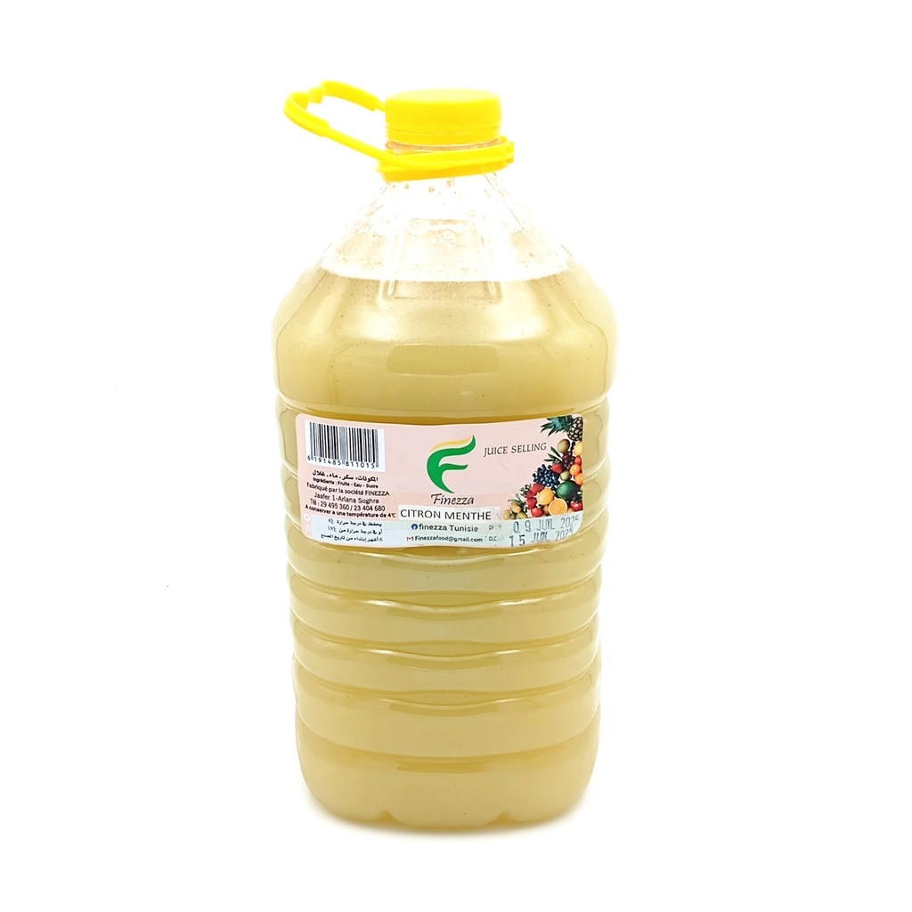 JUS CITRON MENTHE FINEZZA 5L