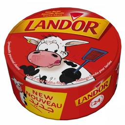 [6194049401400] TRIANGLE FONDU LANDOR 24P