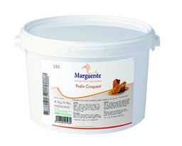 [PFNG0001] Pralin Croquant seau 4.5 kg
