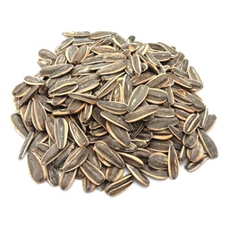 [2500128] KLOUB DE SYRIE